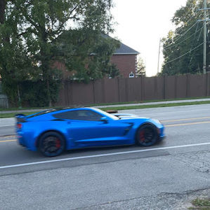 Meet your Posher, Treasure